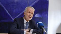 El abogado de Bego�a G�mez, Antonio Camacho, durante un encuentro con Efe en Madrid.