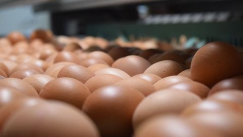 Se puede identificar un producto ecol�gico a trav�s de su etiquetado, pero hay que tener especial cuidado con las pr�cticas enga�osas del greenwashing