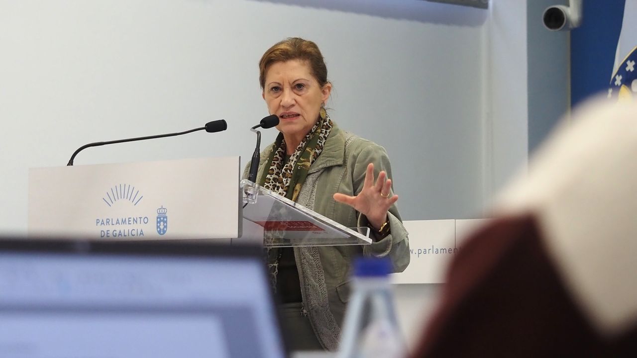 El PSdeG exige a la Xunta un nuevo Plan de Salud Mental con más recursos, personal y prevención del suicidio