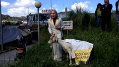 La falsa ministra con la cabra