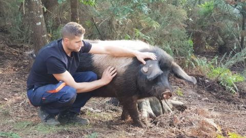 Fernando Calvi�o. Vila de Cruces. Dio el salto a esta actividad en el 2018 para mantener las fincas de la familia y por la salida comercial de los derivados de este animal.