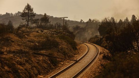 Efecto de las llamas en los m�rgenes del tendido ferroviario