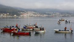 Barcos mariscando en la r�a de Pontevedra