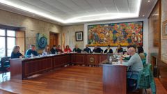 Imagen de un pleno del Concello de O Carballi�o