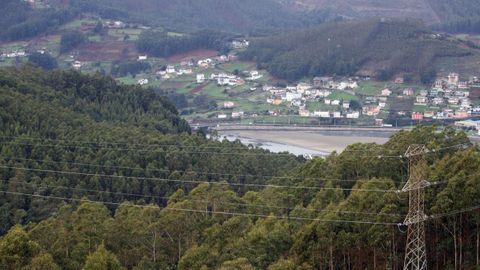 Monte de eucalipto en Viveiro (imagen de archivo)