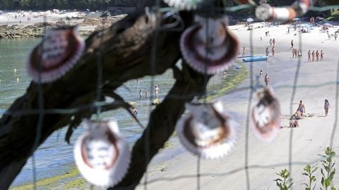 Playa de Aguete. Conchas de zamburias con inscripciones de loe turistas en O Rincn de Poty