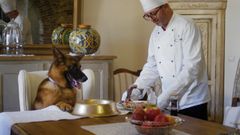 �Gunther, el perro millonario�