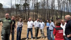 Visita a terreno quemado en Monterrei