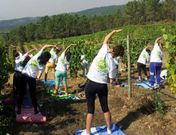 Los participantes de esta innovadora iniciativa durante la sesi�n de yoga. 