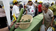 Reparto de pepinos en un mercado.