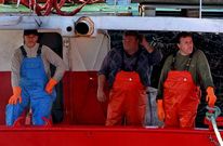 El sector vive una temporada extra�a, donde se suceden los parones y la actividad febril.