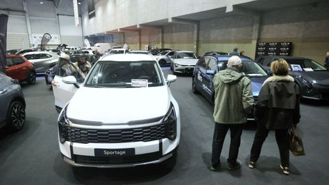 H�bridos, familiares y deportivos compon�an la selecci�n.