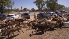 Expectaci�n a las puertas de la c�rcel de Alcal� de Guada�ra por la probable salida de Pantoja