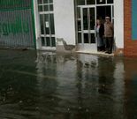 Algunos vecinos no pudieron poner ni un pie en la calle
