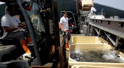 Trabajadores de la planta de Mira, antes de que dos aver�as y un par�sito la dejasen inactiva