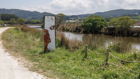 El informe destaca tambi�n la importancia natural de la marisma de Baldaio
