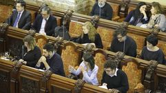 Pleno en e ayuntamiento- Mar�a Pita