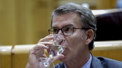 Alberto N��ez Feijoo en el Senado.