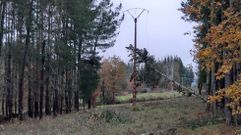 Un pino ca�do sobre un tendido el�ctrico entre Abrence y A Frieira, en A Pobra do Broll�n