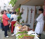 La Festa da Ensalada.
