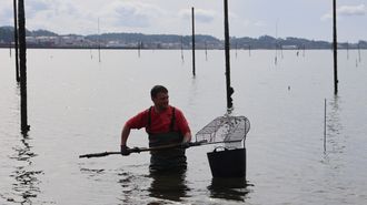 Un parquista trabajando en su vivero tras los estragos del invierno.