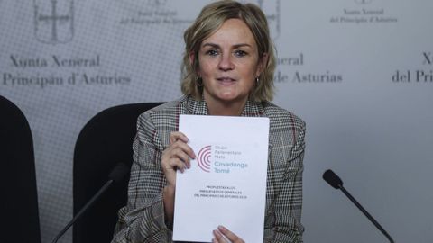  La diputada del Grupo Mixto en la Junta General, Covadonga Tom�