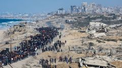 En directo: cientos de gazates emprenden la marcha de vuelta hacia la capital de Gaza