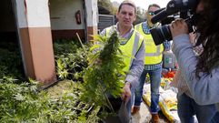 La mayor plantaci�n de marihuana del a�o, en O Porri�o