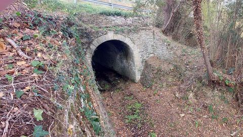 T�nel de la l�nea del antiguo tren minero, que se podr� ver en el nuevo tramo