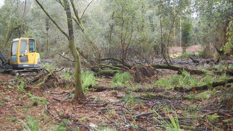 De nueve a seis. El campo del Aeroclub perdi tres hoyos que merman su utilidad, y la intencin de los comuneros, adems de limpiar la zona, era habilitar suelo para que el campo de golf recupere el terreno perdido. Utilizaron maquinaria pesada (imagen) para hacer zanjas que desviaron el cauce del ro en Cabral.