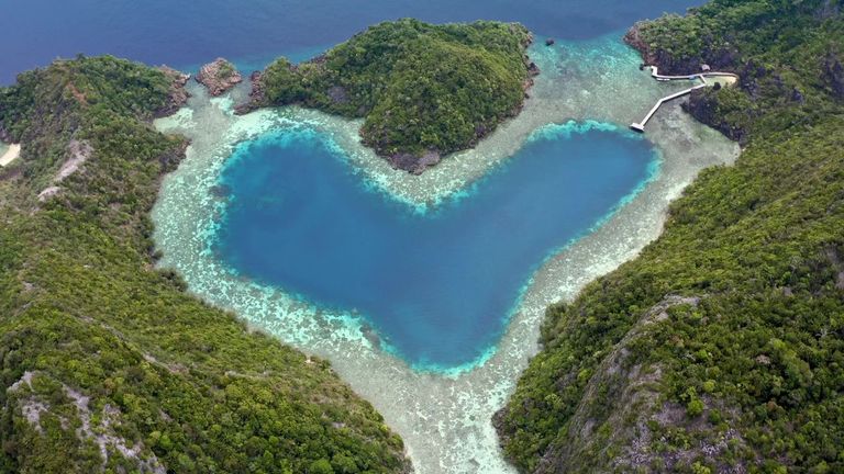  Raja Ampat. The last paradise , pel�cula que se exhibi� en la Semana de Cine Submarino el a�o pasado