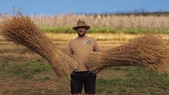 Manuel Gutirrez, CEO de Cervezas Colmo, recogiendo el centeno para la elaboracin de su cerveza artesanal al lado de un terreno devastado por los incendios