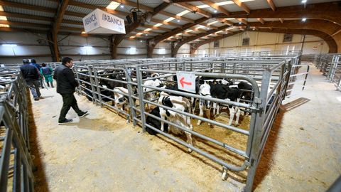 Conflicto este martes en la Central Agropecuaria de Galicia en Silleda