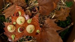 El delicioso podio del XI Concurso Gij�n de Pinchos