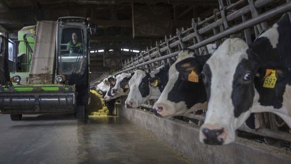 El presidente de Fenil recuerda que Galicia produce ya el 43 % de toda la leche de Espa�a