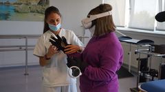 Pacientes que son atendidos en la Unidad de Da�o Cerebral de Ribera Polusa