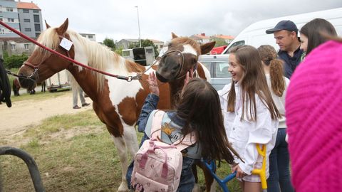 FERIA CABALLAR Y MAQUINARIA AGRICOLA EN SAN MARCOS