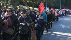 Multitudinaria andaina reivindicativa en contra de la supresi�n del �rea sanitaria de O Saln�s .