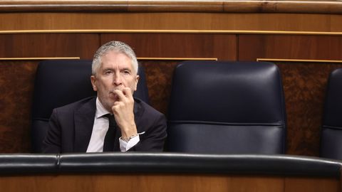 El ministro del Interior, Fernando Grande-Marlaska, durante una sesi�n de control al Gobierno, en el Congreso de los Diputados