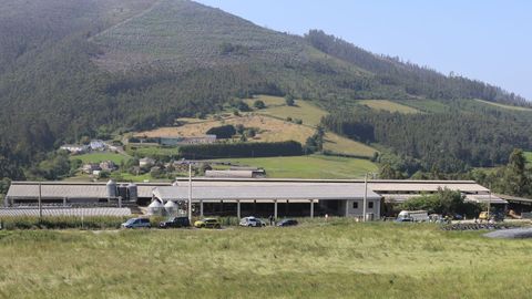 Granja de Coaa, donde fallecieron tres trabajadores