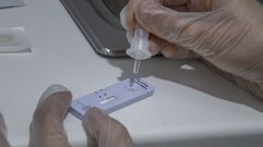 Un test de ant�genos