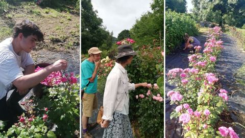 Flores y productos elaborados en La Flor del Agua