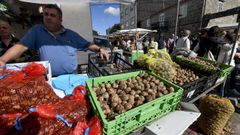 La Feira de Santos de Monterroso, en imgenes