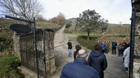 La bodega esta rodeada de vi�edos con vides aut�ctonas