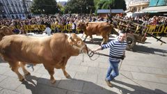 Un momento del desfile, con animales pasando por delante del consistorio