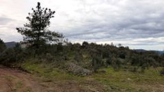 M�moa en Ferreiros de Valboa, en Becerre�