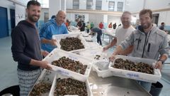 Inicio de la campa�a del percebe en Agui�o