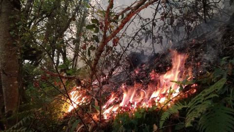 Incendio en Triacastela