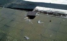 El BNG ve en los desbordamientos un problema de salud p�blica.