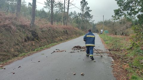 Retirada de restos vegetales tirados por el viento en Muxa